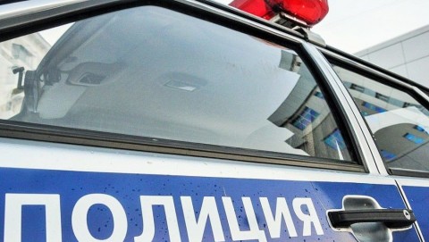 Полицейскими раскрыт факт незаконной рубки леса в Пошехонском районе